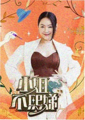 访客